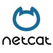 Quickly spin up stub server and proxy server using netcat